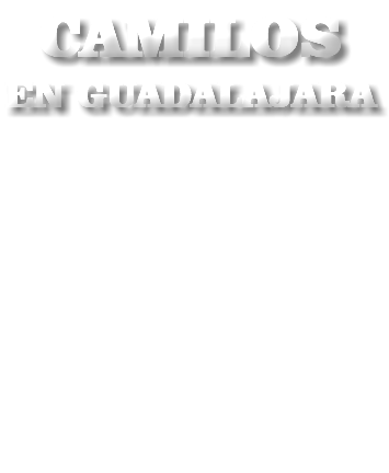 CAMILOS EN GUADALAJARA 