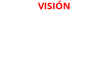 VISIÓN  Ser un referente y modelo en el acompañamiento de las personas que sufren y en la capacitación integral de profesionistas y voluntarios, para promover la humanización de las instituciones de salud, de asistencia y generar cambios de actitudes en las relaciones terapéuticas y de atención en la fragilidad. 