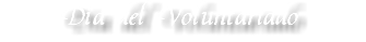 Día del Voluntariado