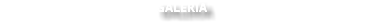 GALERÍA